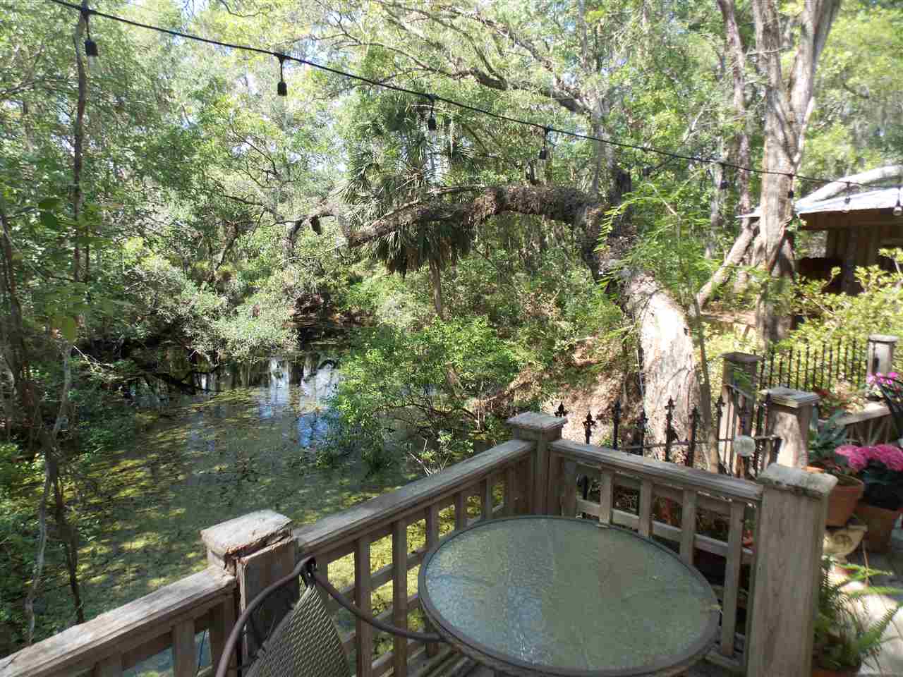 90 Buckeye Nursery Road Perry, FL 32347 - Photo 1 of 28
