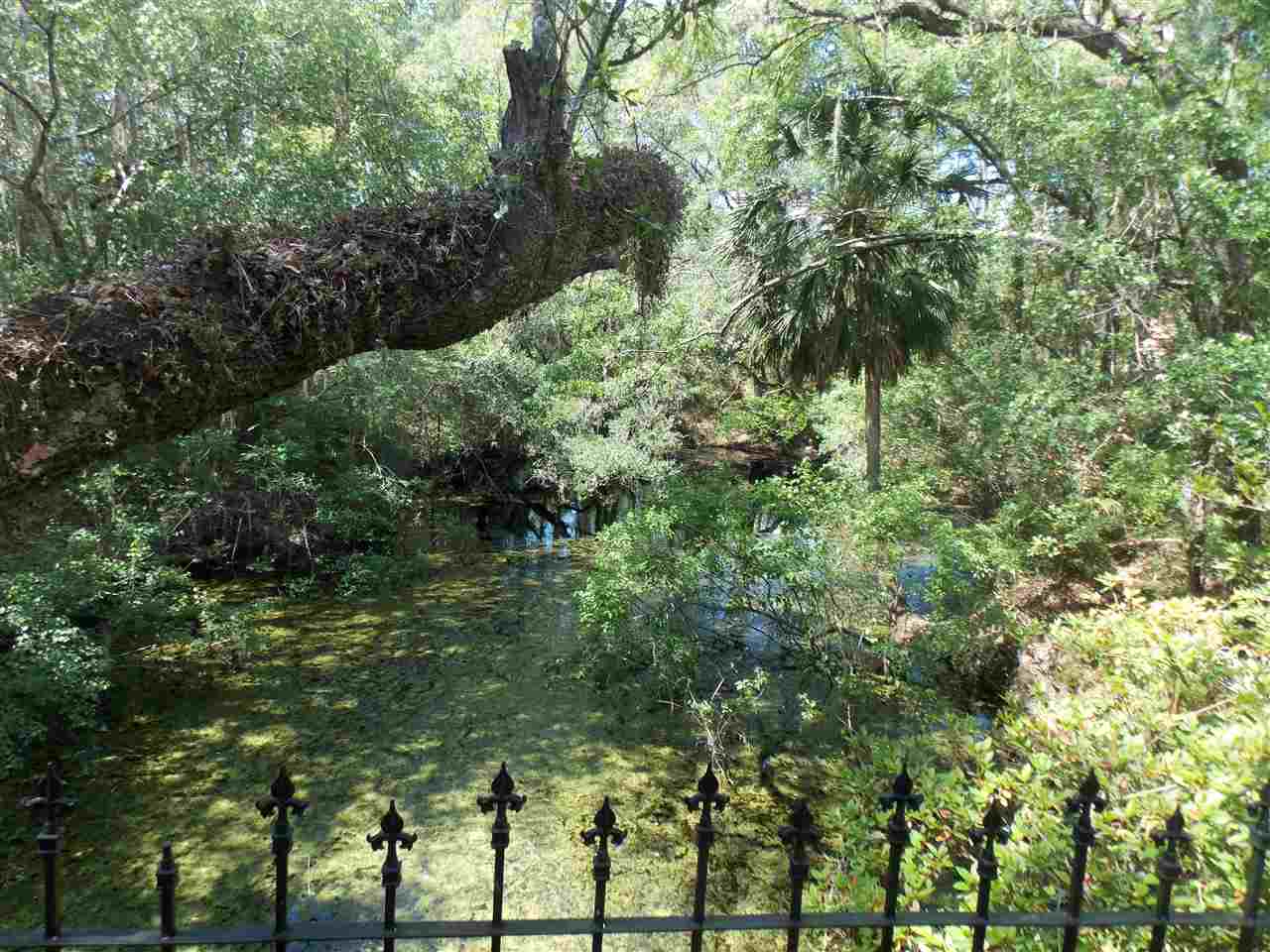 90 Buckeye Nursery Road Perry, FL 32347 - Photo 5 of 28