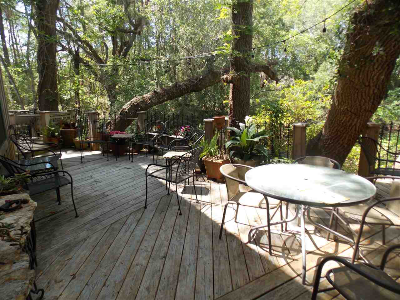 90 Buckeye Nursery Road Perry, FL 32347 - Photo 6 of 28