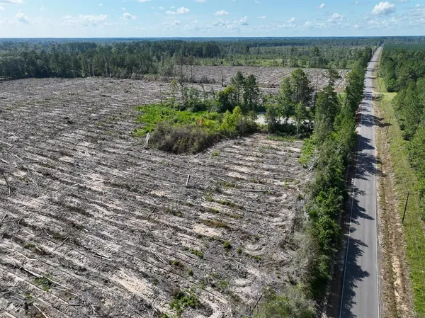a view of a back yard