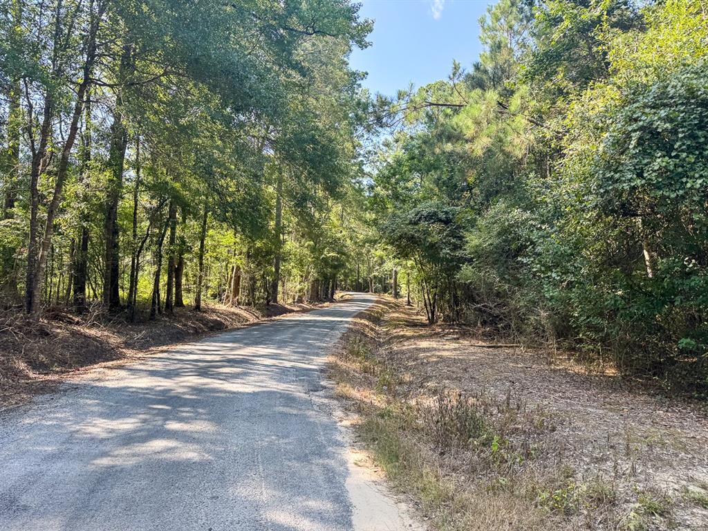 3205 Oberlin La Oakdale, LA 71463 - Photo 2 of 13 a view of a yard with a tree