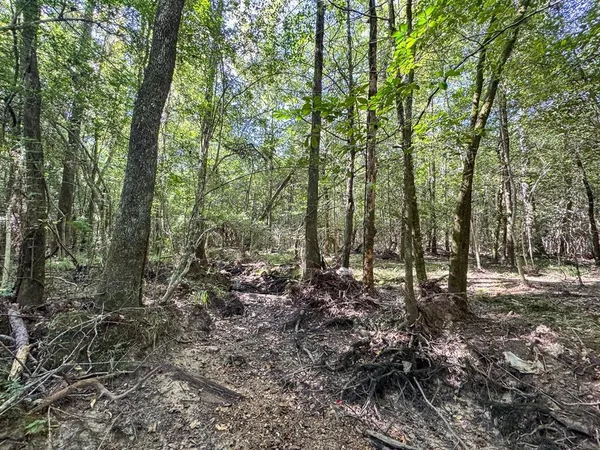 a view of outdoor space and trees