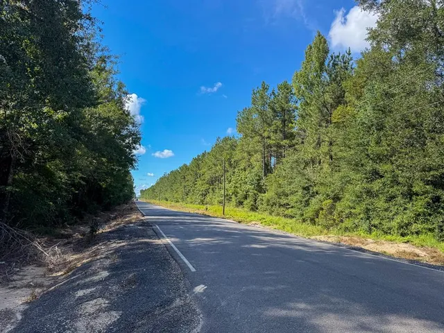 a view of a yard with plants and a yard