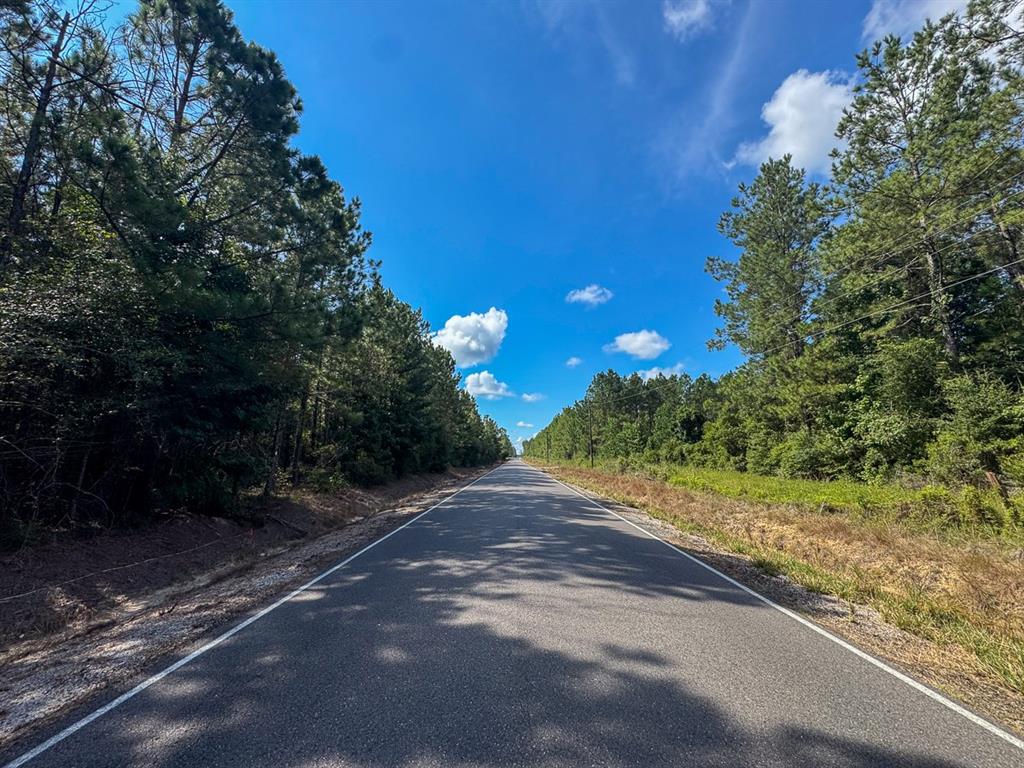3205 Oberlin La Oakdale, LA 71463 - Photo 8 of 13 a view of a yard with palm tree