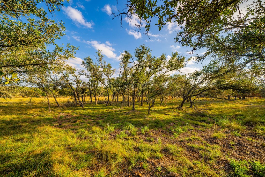 Lot 50 Reservation Road, Unit 50 Harper, TX 78631 - Photo 3 of 5 Gallery Image 3