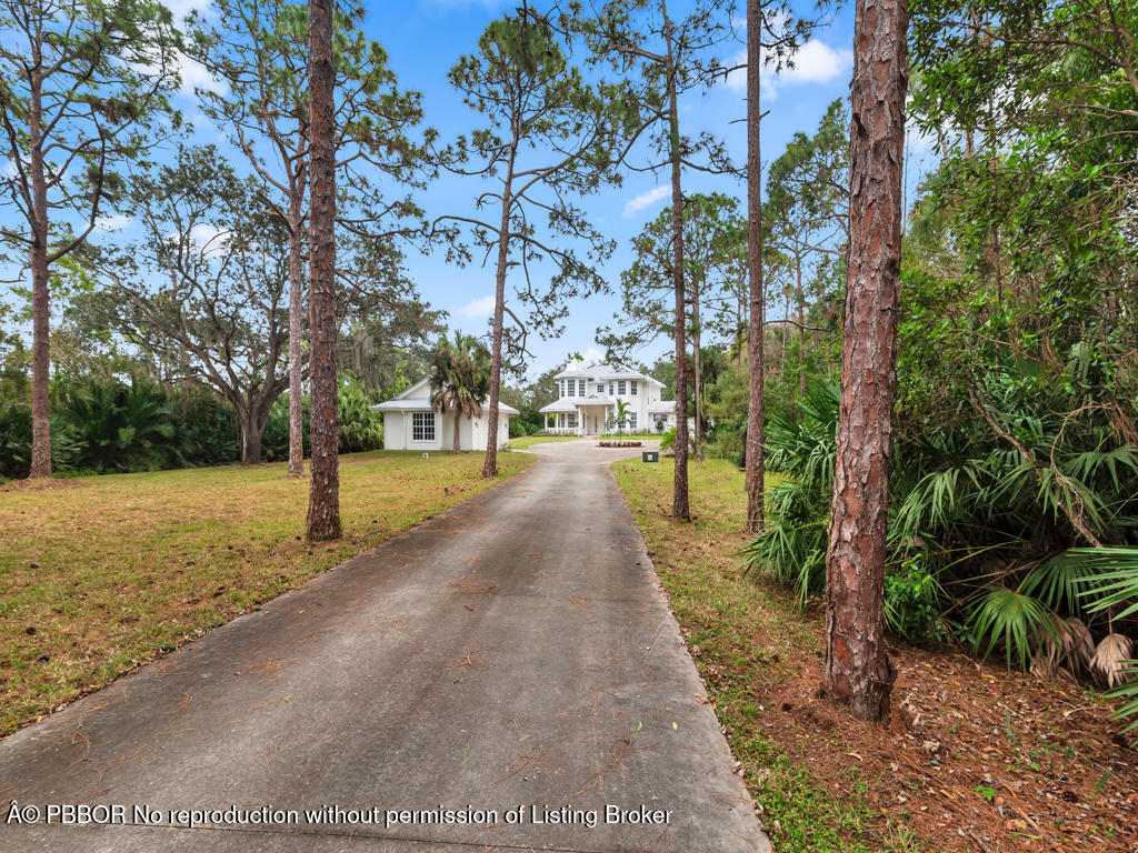 1001 Southeast Ranch Road Northeast Jupiter, FL 33478 - Photo 3 of 32 a view of a yard with plants and trees