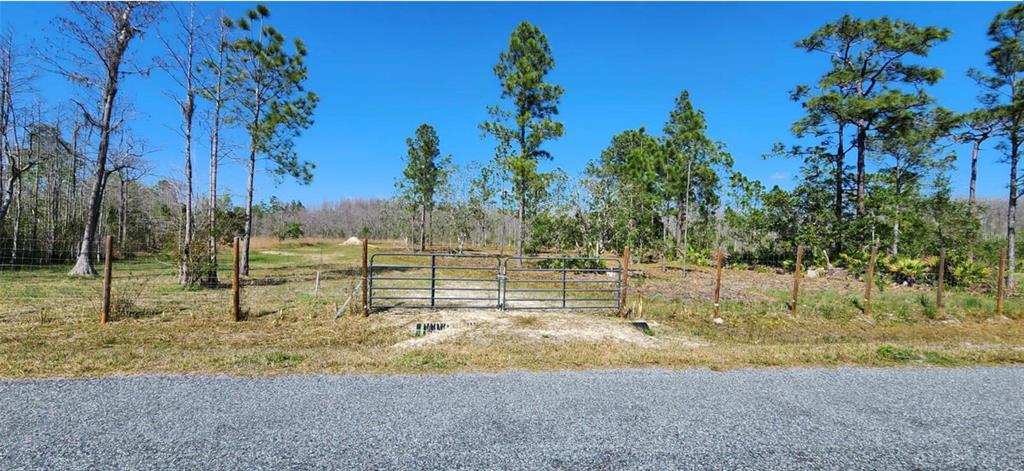 Helena Dr Street St. Cloud, FL 34773 - Photo 1 of 1