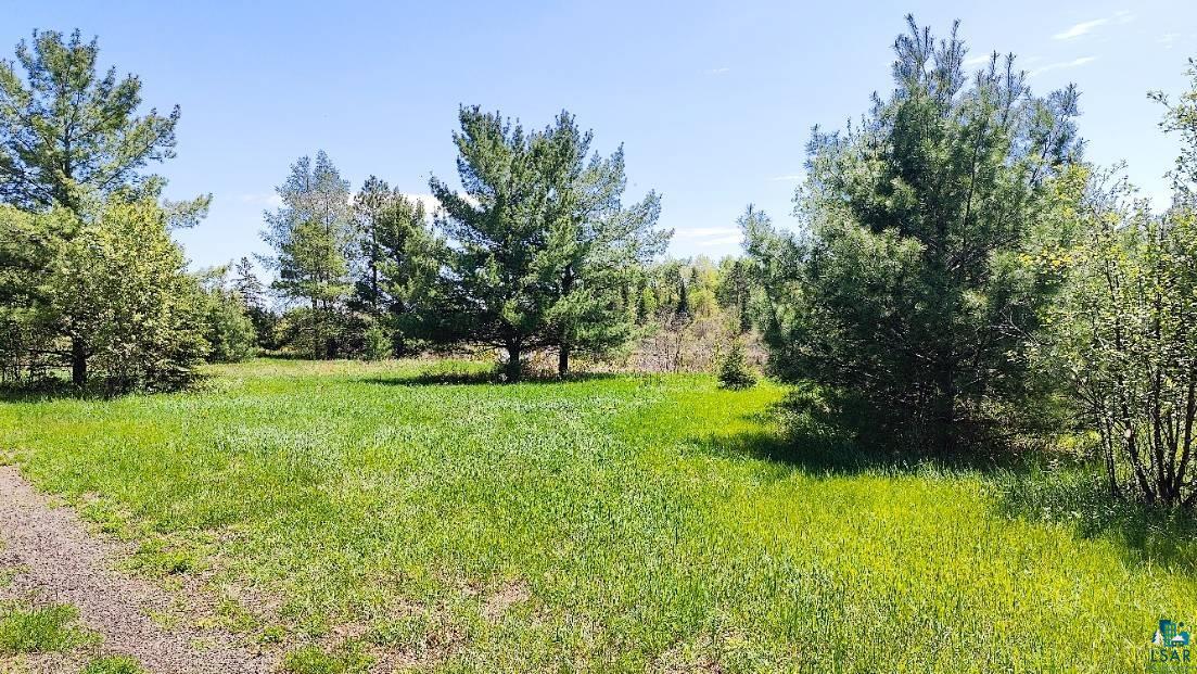 80052 Waters Of Vermilion Road Tower, MN 55790 - Photo 2 of 42 View of yard with a wooded view