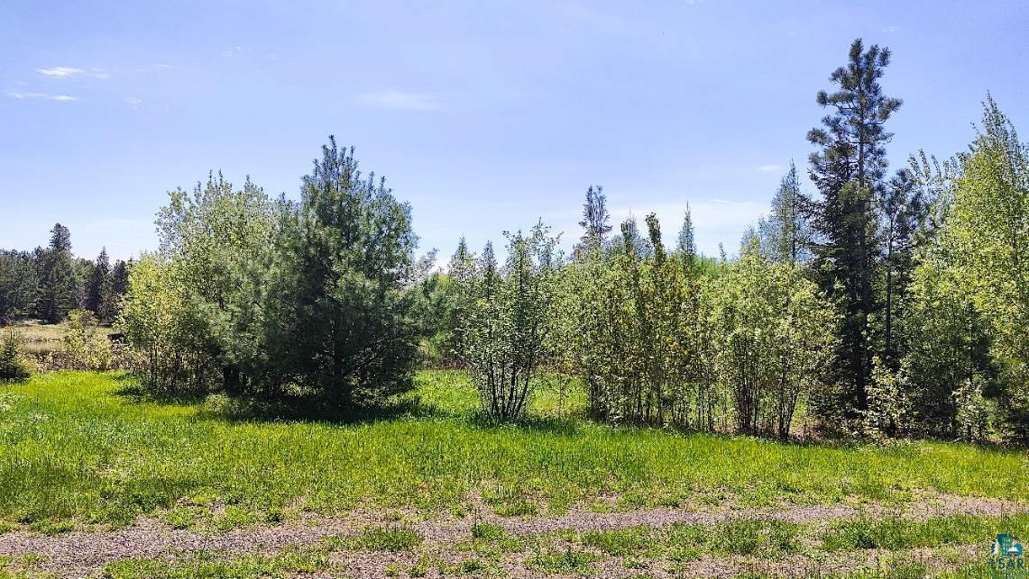 80052 Waters Of Vermilion Road Tower, MN 55790 - Photo 5 of 42 View of landscape