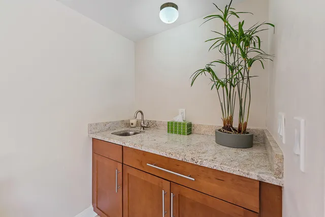 a close view of sink and a potted plant