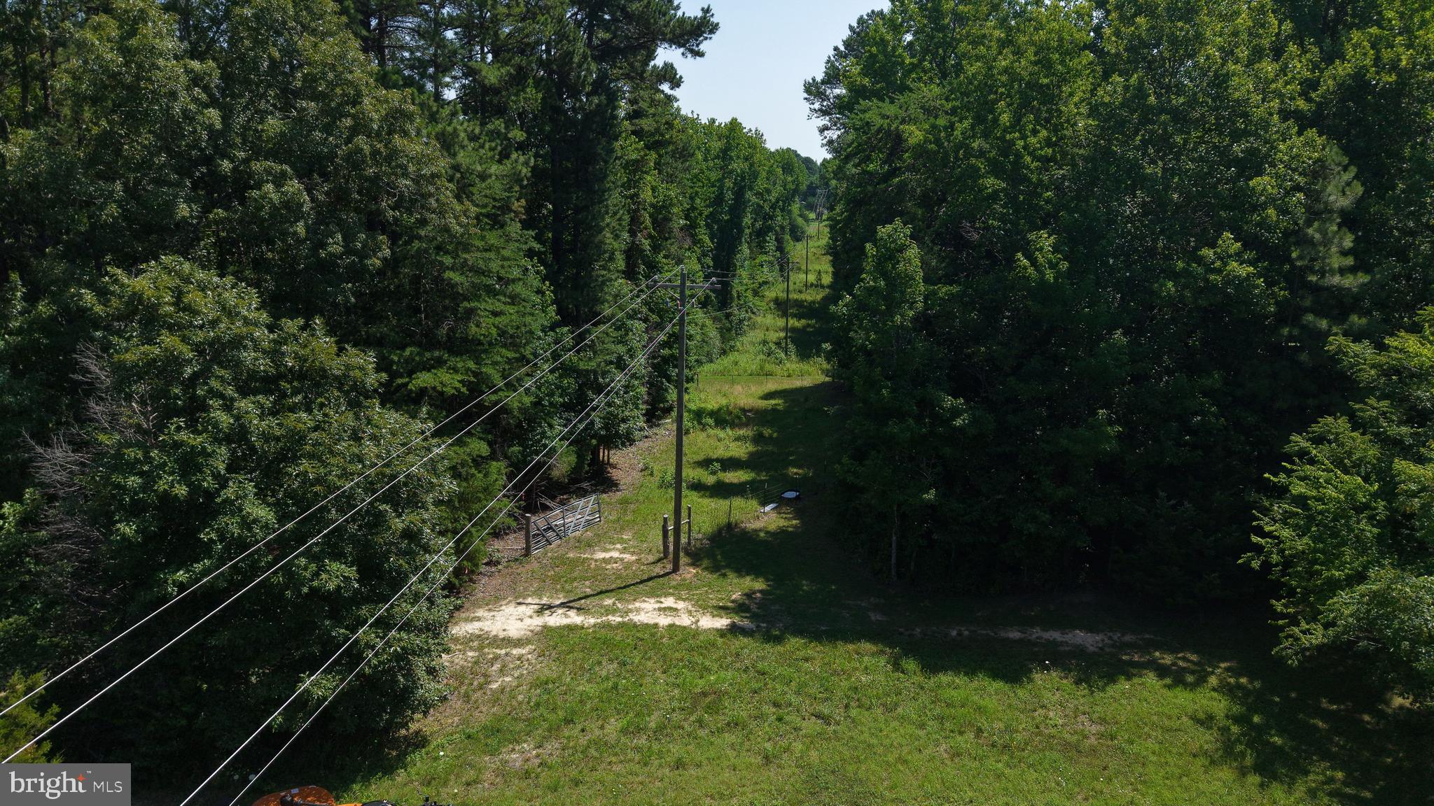 512 Mountain Hall Road Crewe, VA 23930 - Photo 14 of 50