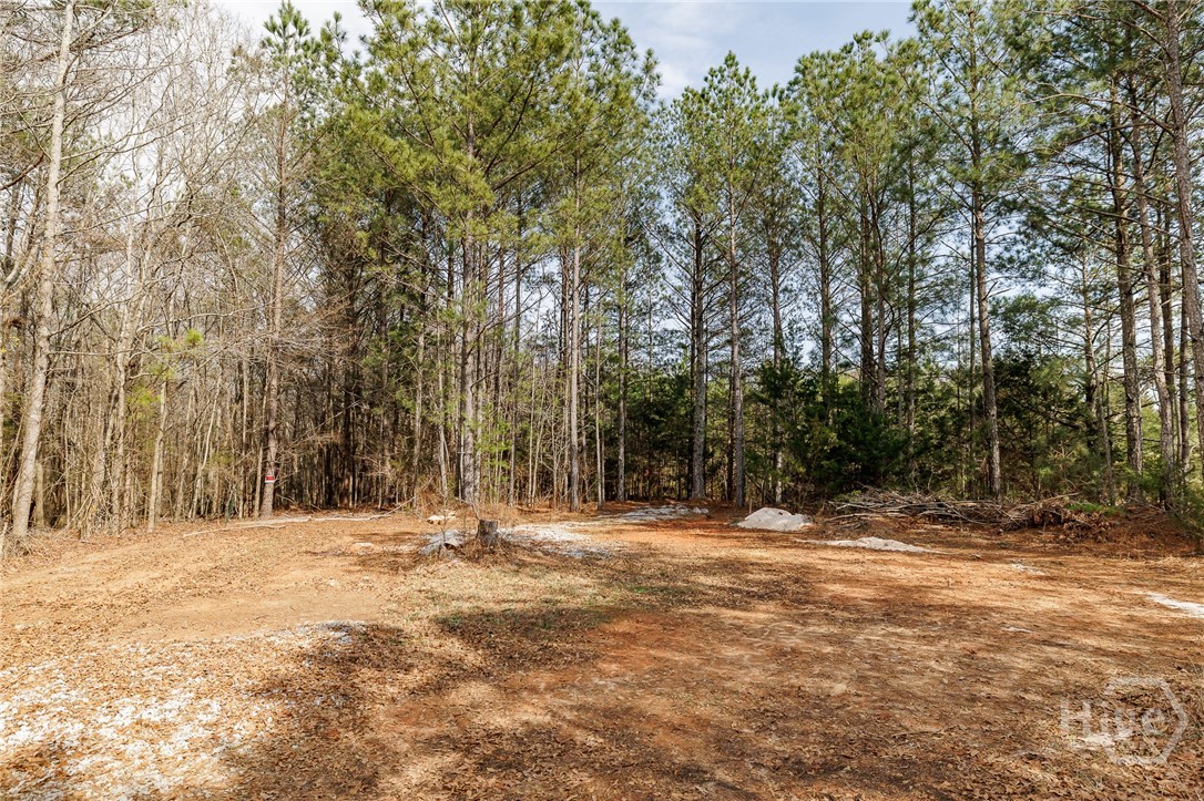 65 Lexington-Carlton Road Lexington, GA 30648 - Photo 59 of 68 potential garage/shop site