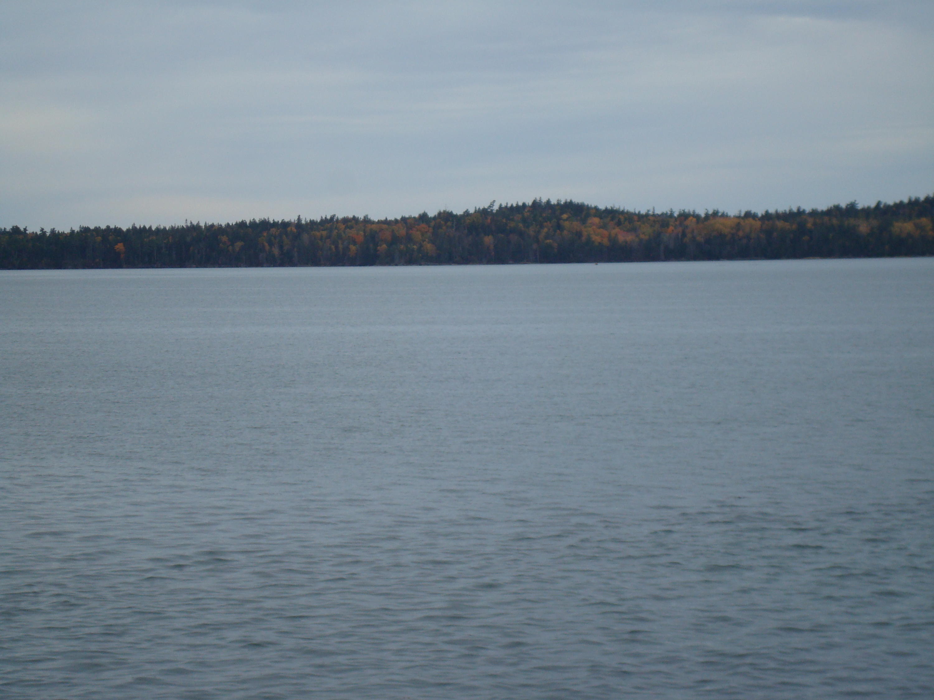 Lot 24-8 North Lubec Road Lubec, ME 04652 - Photo 3 of 10 DSC00013