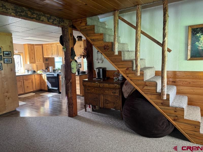 204 Main Street Pitkin, CO 81241 - Photo 9 of 29