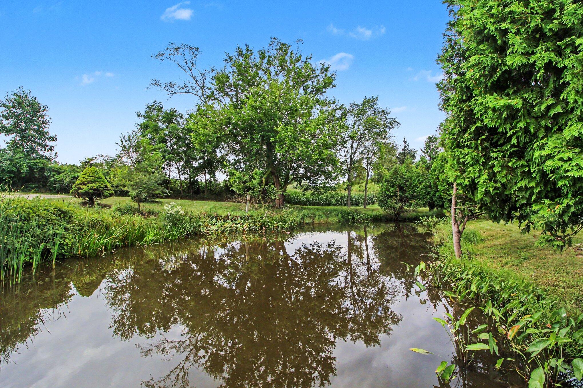 123 South Freer Road Chelsea, MI 48118 - Photo 51 of 82 049_file_1223