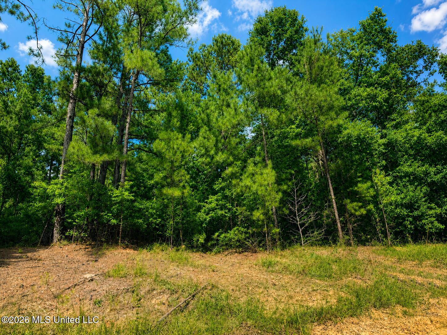 4.39-acres Man Moulds Road Lucedale, MS 39452 - Photo 3 of 15 land