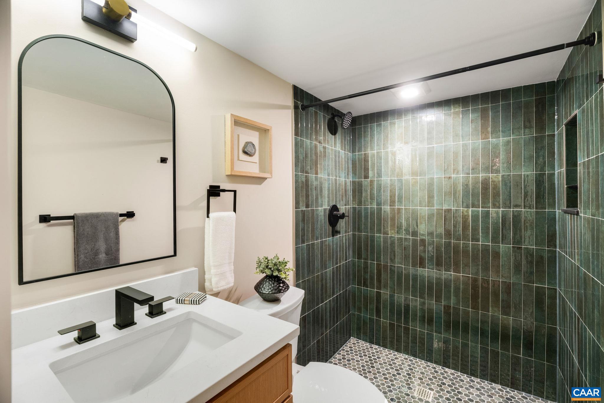 1004 Cottonwood Road Charlottesville, VA 22901 - Photo 55 of 66