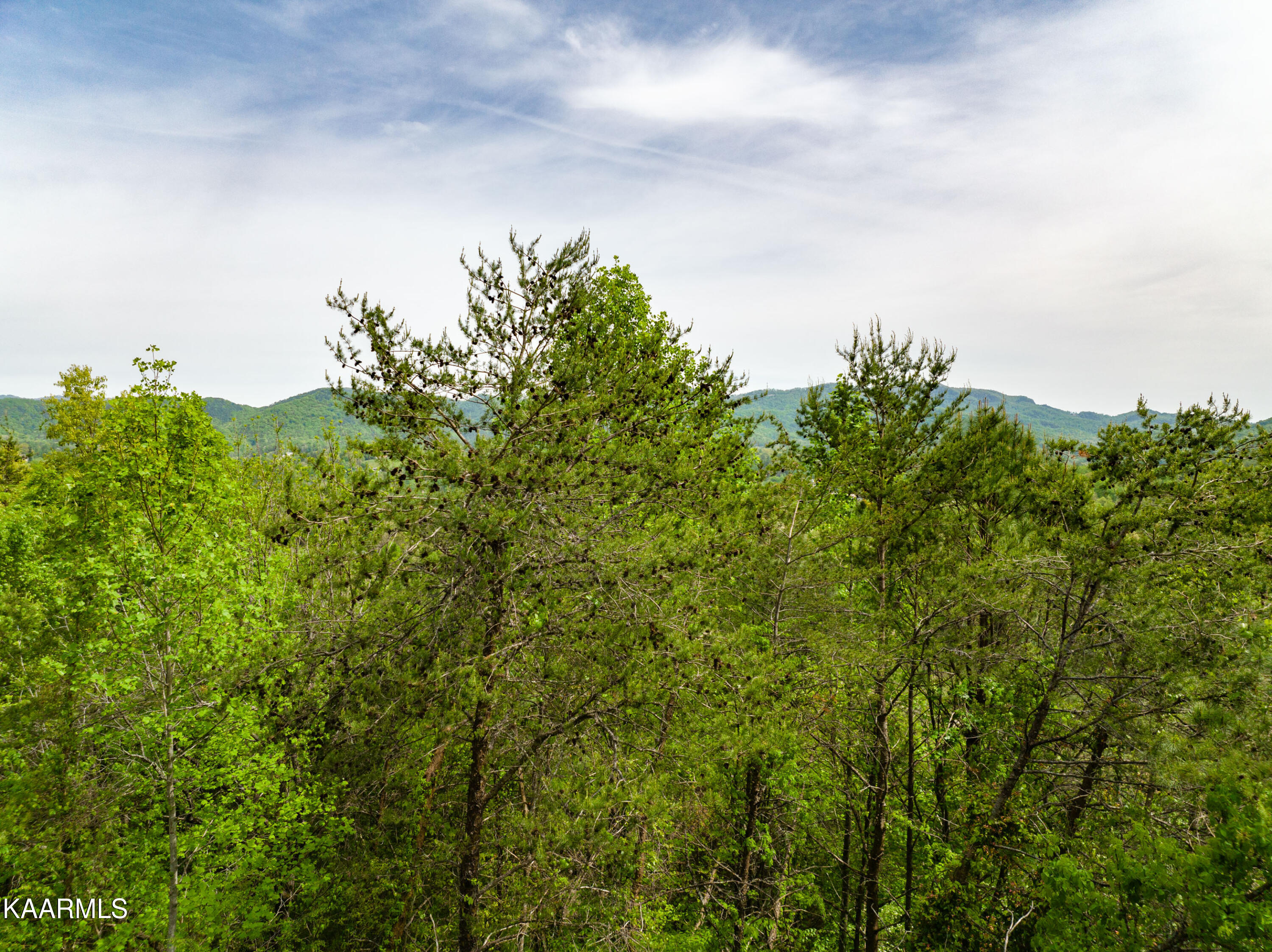 220 Fox Hollow Road Townsend, TN 37882 - Photo 11 of 18 220 Fox Hollow Road-6