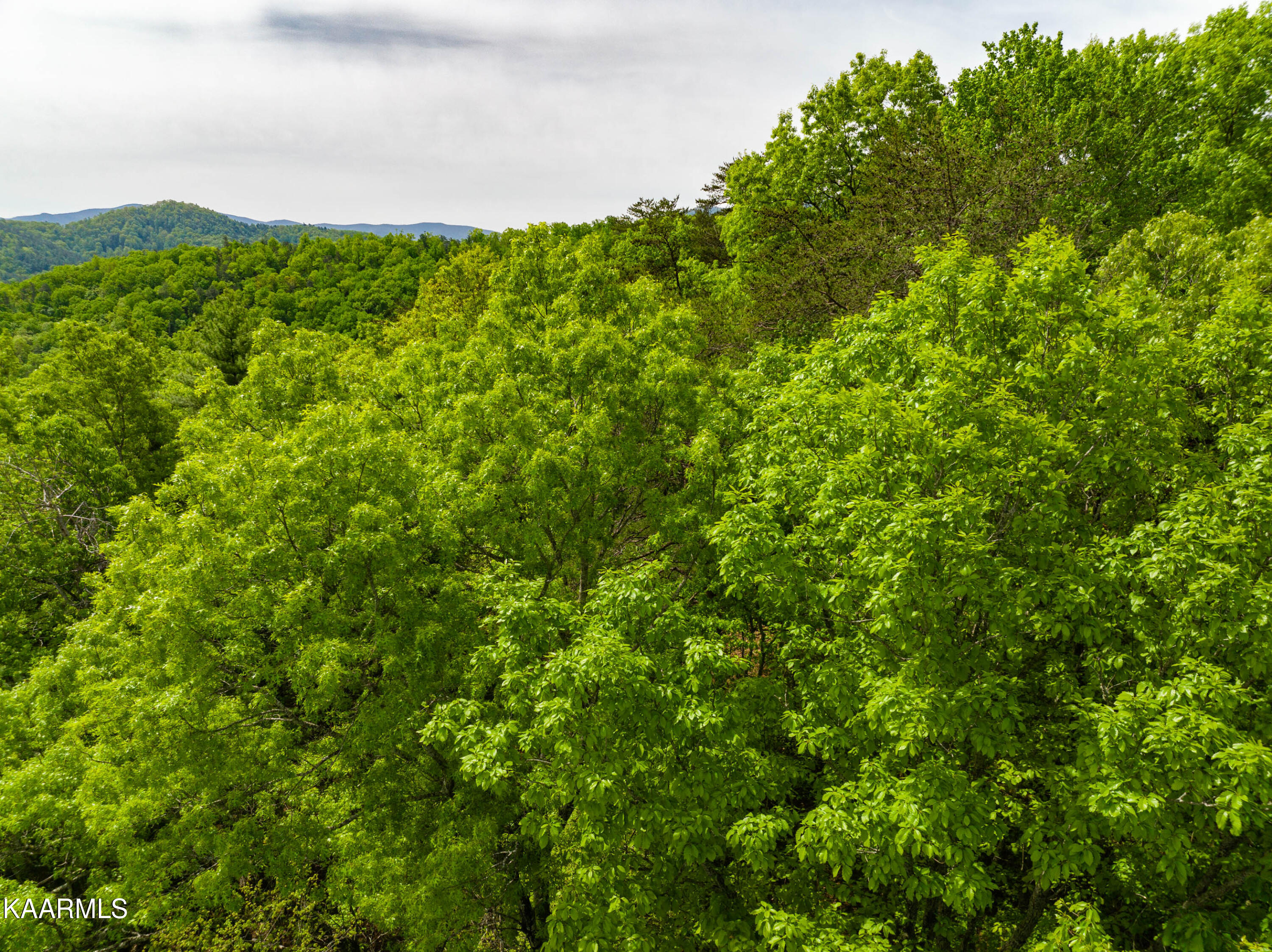 220 Fox Hollow Road Townsend, TN 37882 - Photo 15 of 18 220 Fox Hollow Road-16
