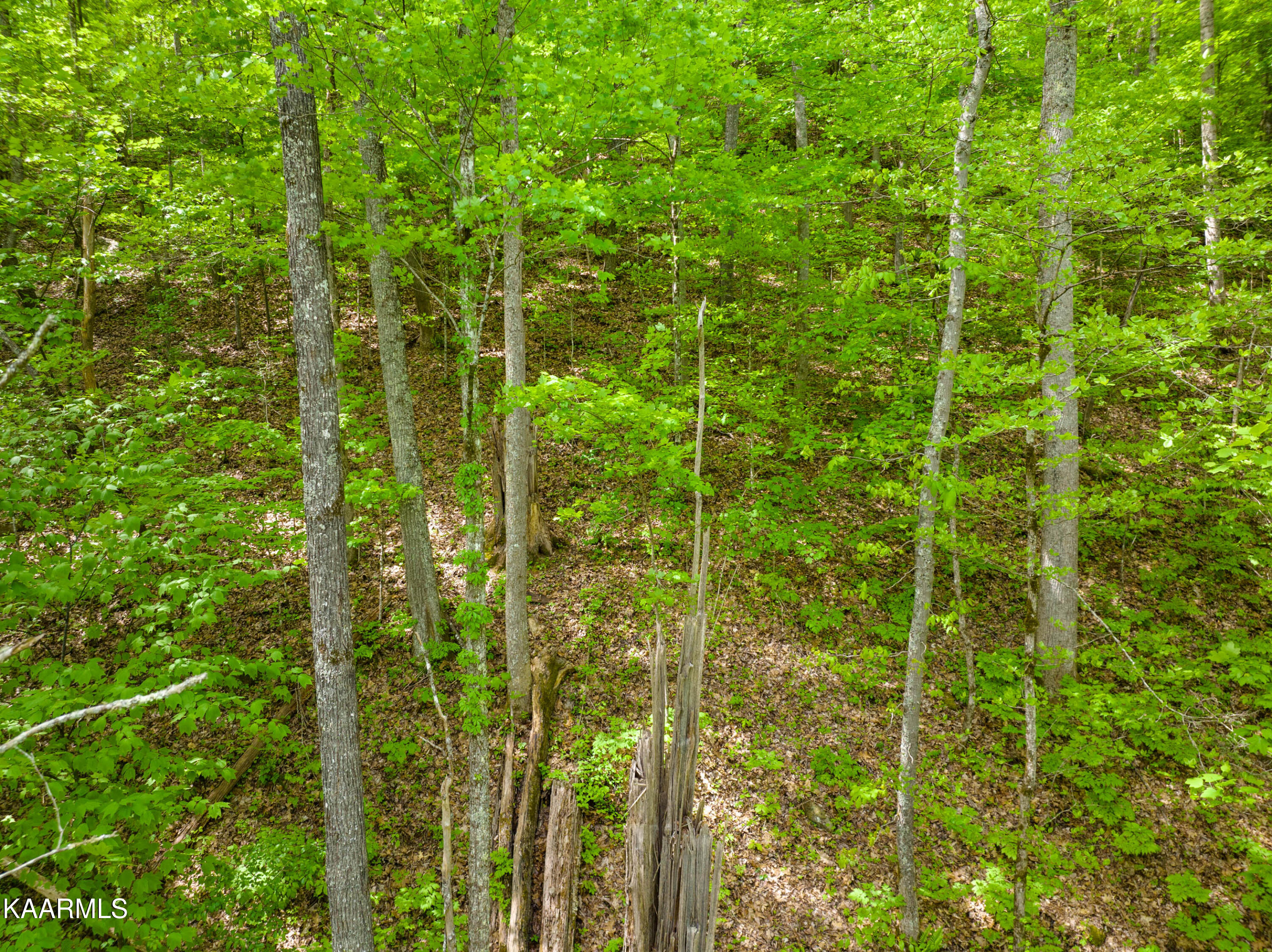 220 Fox Hollow Road Townsend, TN 37882 - Photo 17 of 18 220 Fox Hollow Road-18