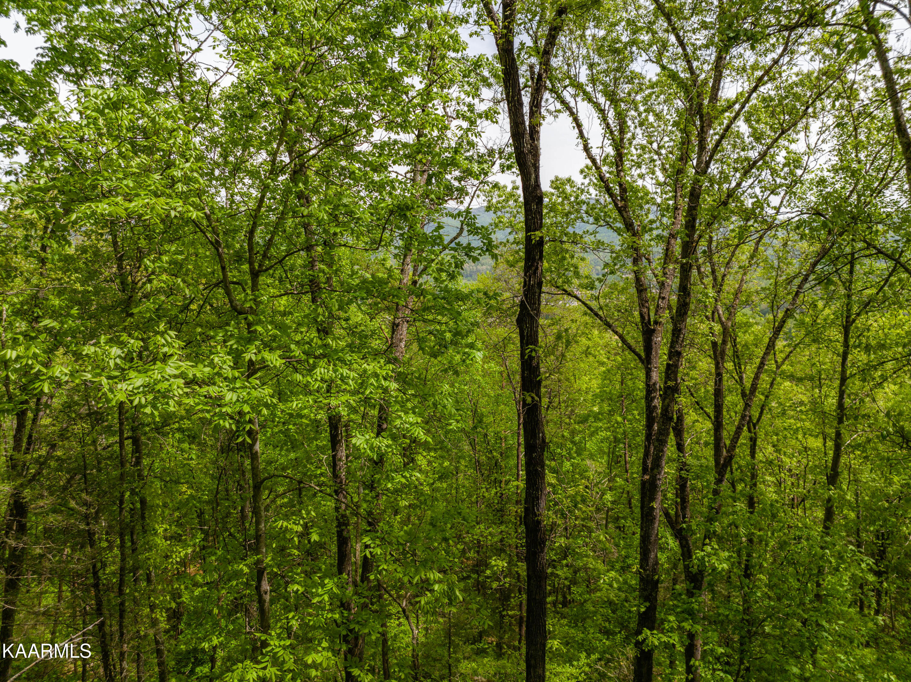 220 Fox Hollow Road Townsend, TN 37882 - Photo 18 of 18 220 Fox Hollow Road-19