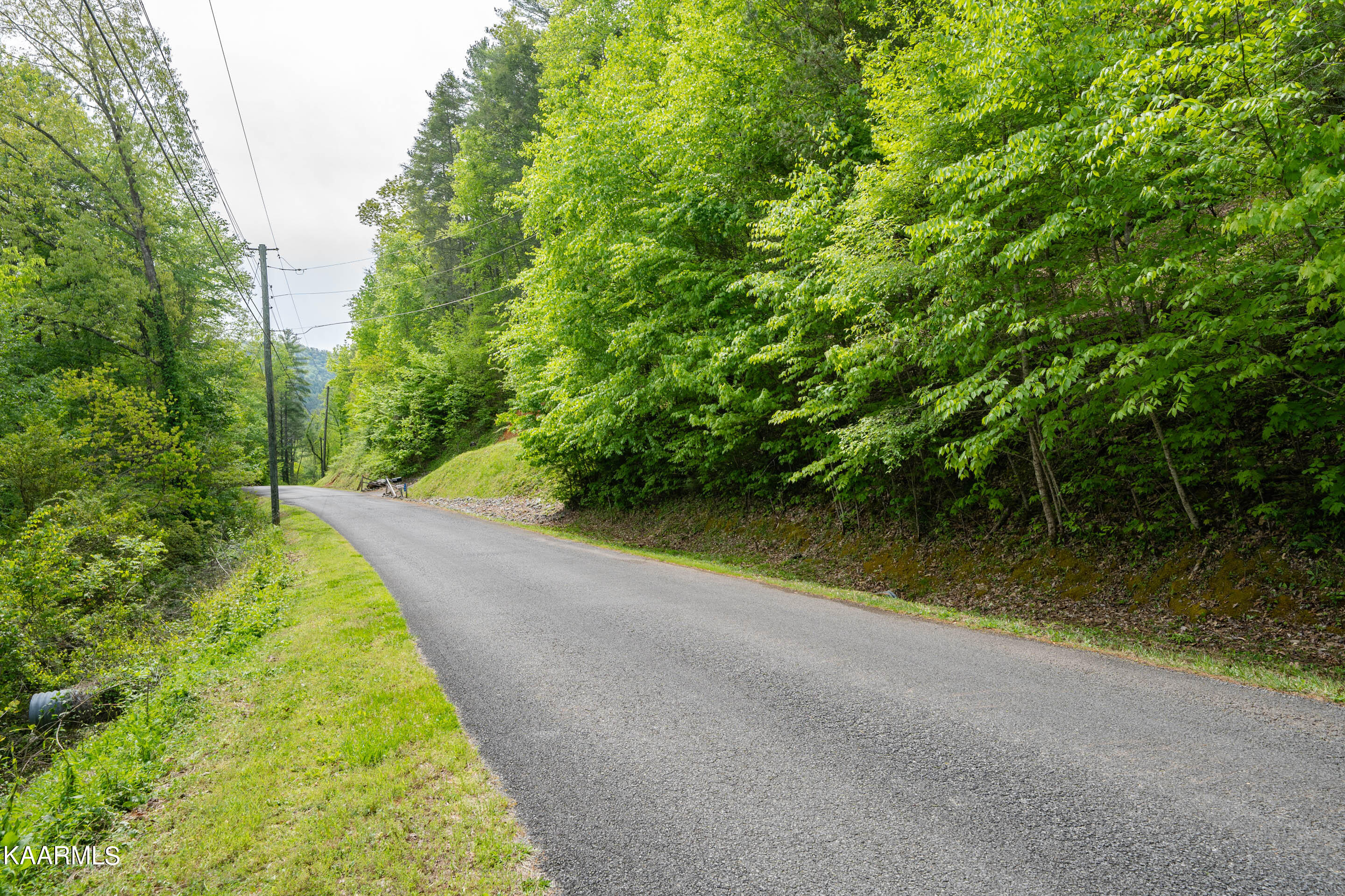 220 Fox Hollow Road Townsend, TN 37882 - Photo 3 of 18 220 Fox Hollow Road-4