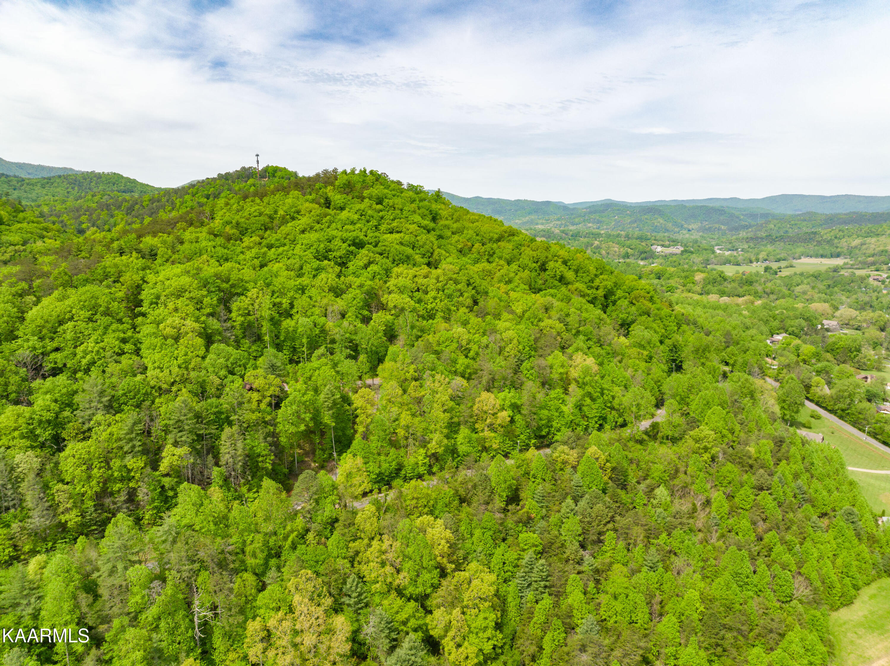 220 Fox Hollow Road Townsend, TN 37882 - Photo 7 of 18 220 Fox Hollow Road-10