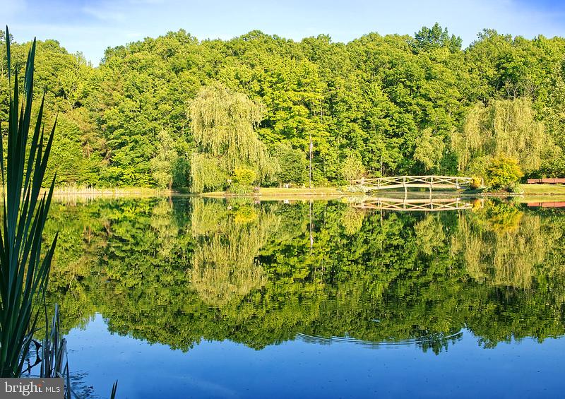 7017 Morris Road Spotsylvania, VA 22551 - Photo 1 of 23 a view of a yard
