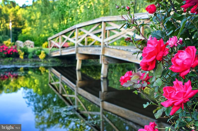 7017 Morris Road Spotsylvania, VA 22551 - Photo 14 of 23 a view of a flower in a yard