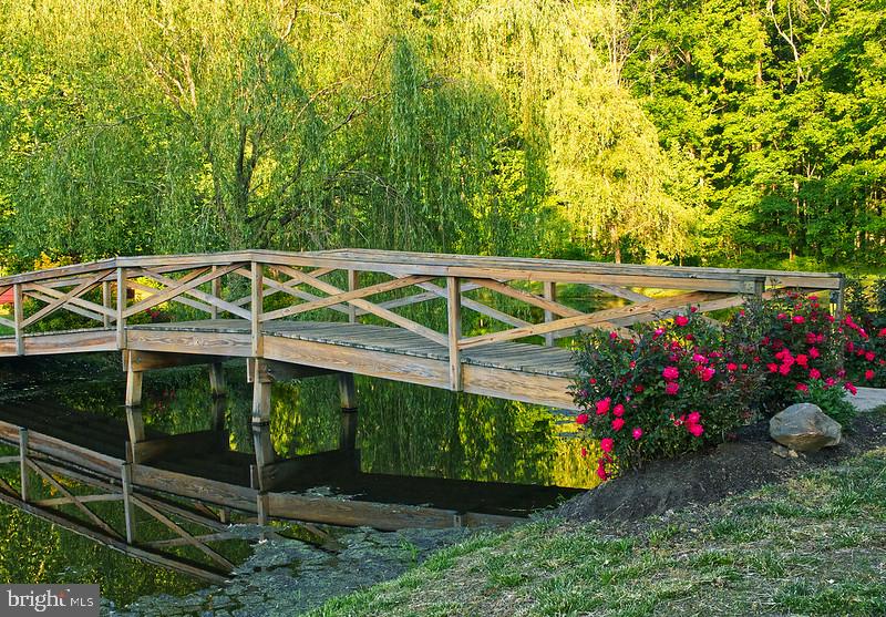 7017 Morris Road Spotsylvania, VA 22551 - Photo 15 of 23 a view of a chair and table in the garden