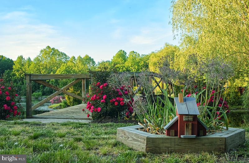 7017 Morris Road Spotsylvania, VA 22551 - Photo 16 of 23 a view of outdoor space