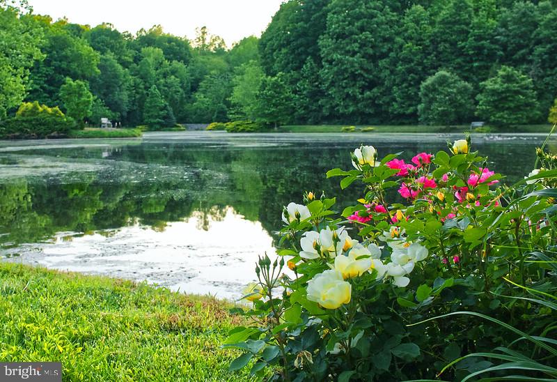7017 Morris Road Spotsylvania, VA 22551 - Photo 2 of 23 a backyard of a house with lots of green space and trees all around