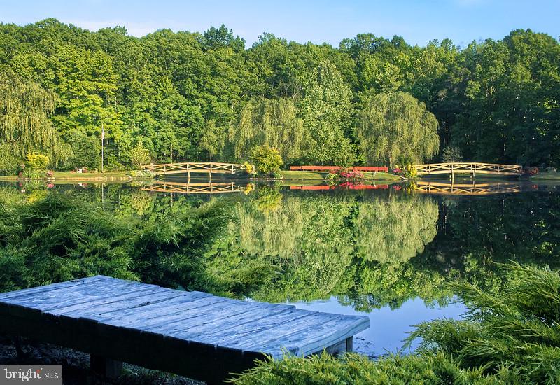 7017 Morris Road Spotsylvania, VA 22551 - Photo 3 of 23 a view of an outdoor space