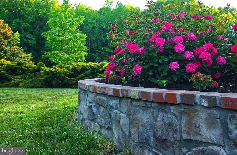 7017 Morris Road Spotsylvania, VA 22551 - Photo 4 of 23 a view of yard with flowers and flowers
