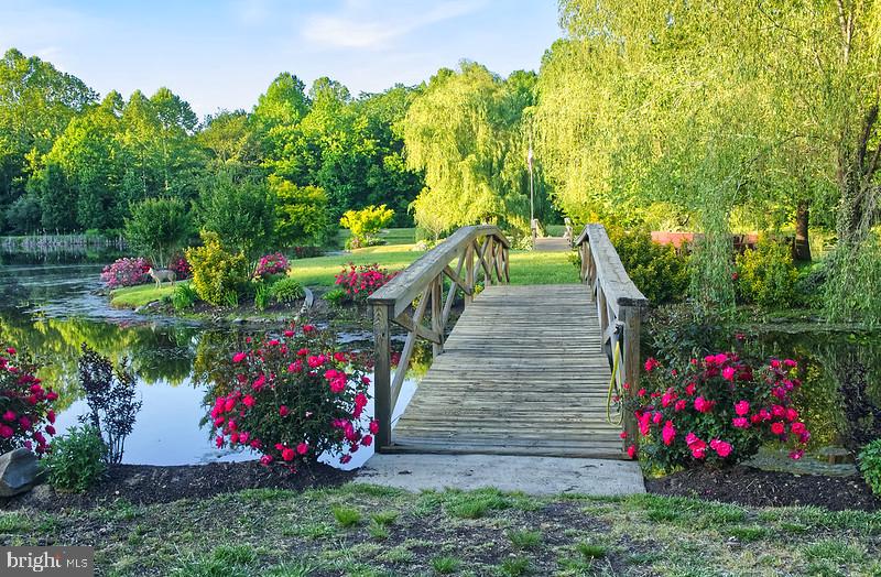 7017 Morris Road Spotsylvania, VA 22551 - Photo 5 of 23 a view of a potted flower in a yard with swimming pool