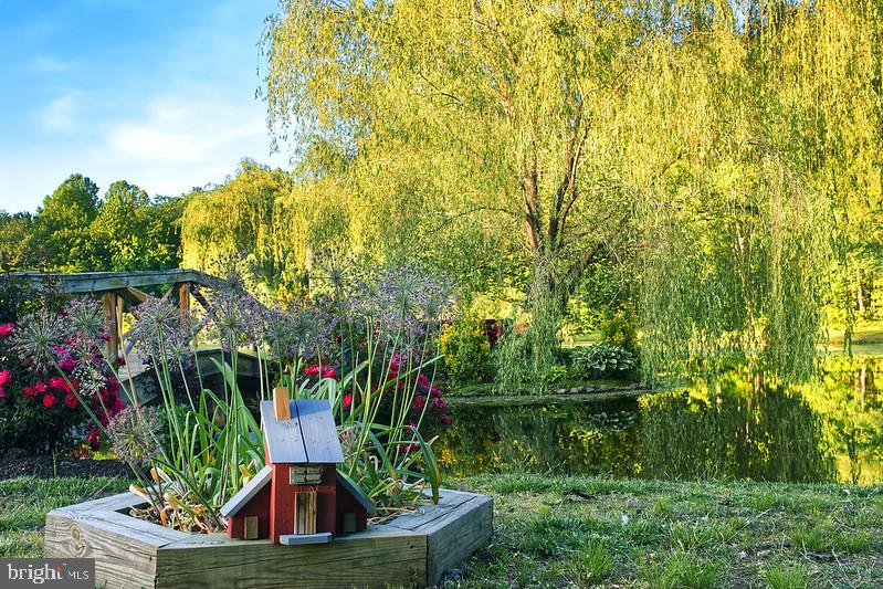 7017 Morris Road Spotsylvania, VA 22551 - Photo 6 of 23 a view of a garden from a patio