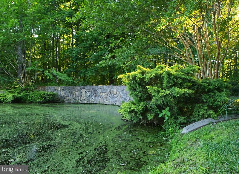 7017 Morris Road Spotsylvania, VA 22551 - Photo 7 of 23 a view of yard with green space