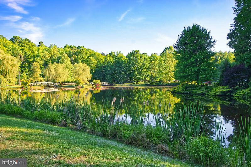 7017 Morris Road Spotsylvania, VA 22551 - Photo 8 of 23 a view of lake with green space
