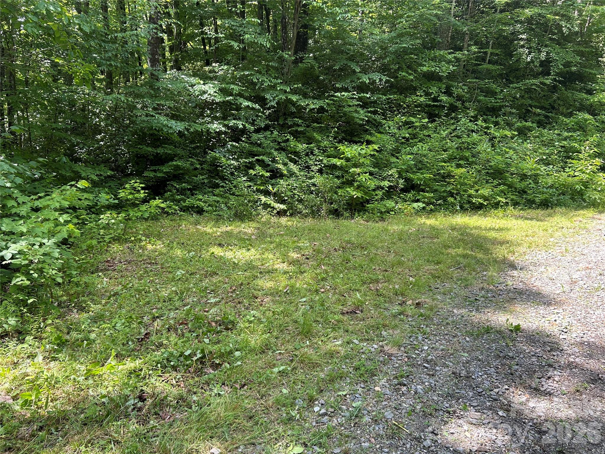 8 Carls Cove Road Hendersonville, NC 28792 - Photo 23 of 25