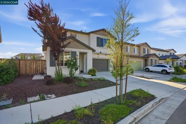 a front view of a house with garden and plants