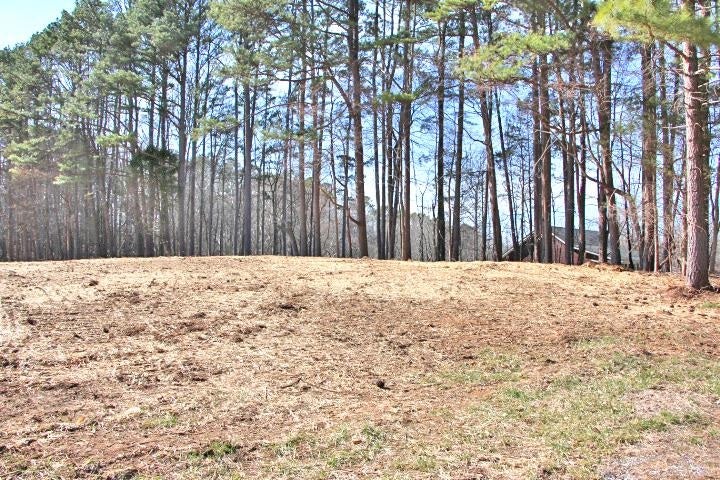 Lot 80-81 Cherokee Road Lucas, KY 42156 - Photo 5 of 7 Gallery Image 5