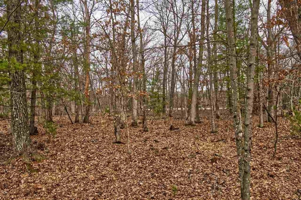 E9976 Trout Road Wisconsin Dells, WI 53965 - Photo 12 of 13