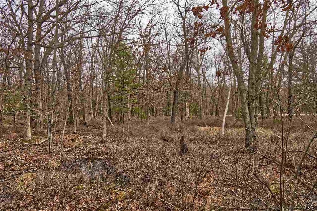 E9976 Trout Road Wisconsin Dells, WI 53965 - Photo 3 of 13