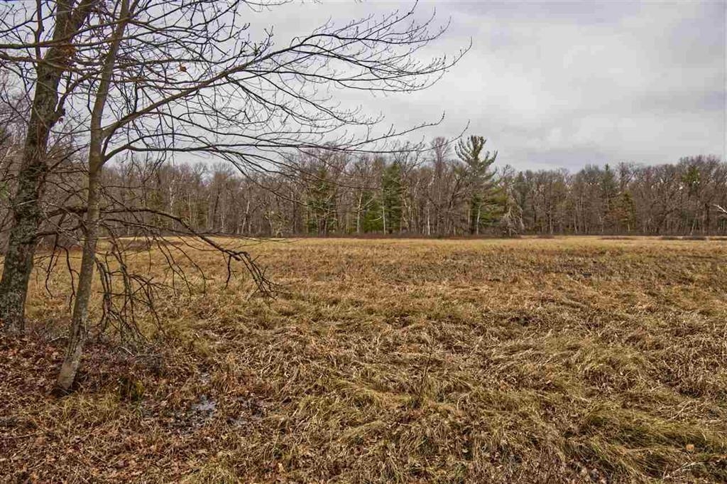 E9976 Trout Road Wisconsin Dells, WI 53965 - Photo 4 of 13