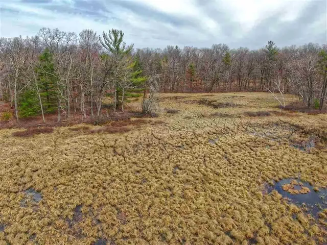 $89,900 | E9976 Trout Road, Wisconsin Dells, WI 53965