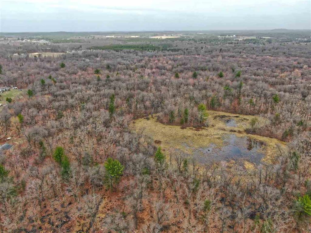 E9976 Trout Road Wisconsin Dells, WI 53965 - Photo 9 of 13