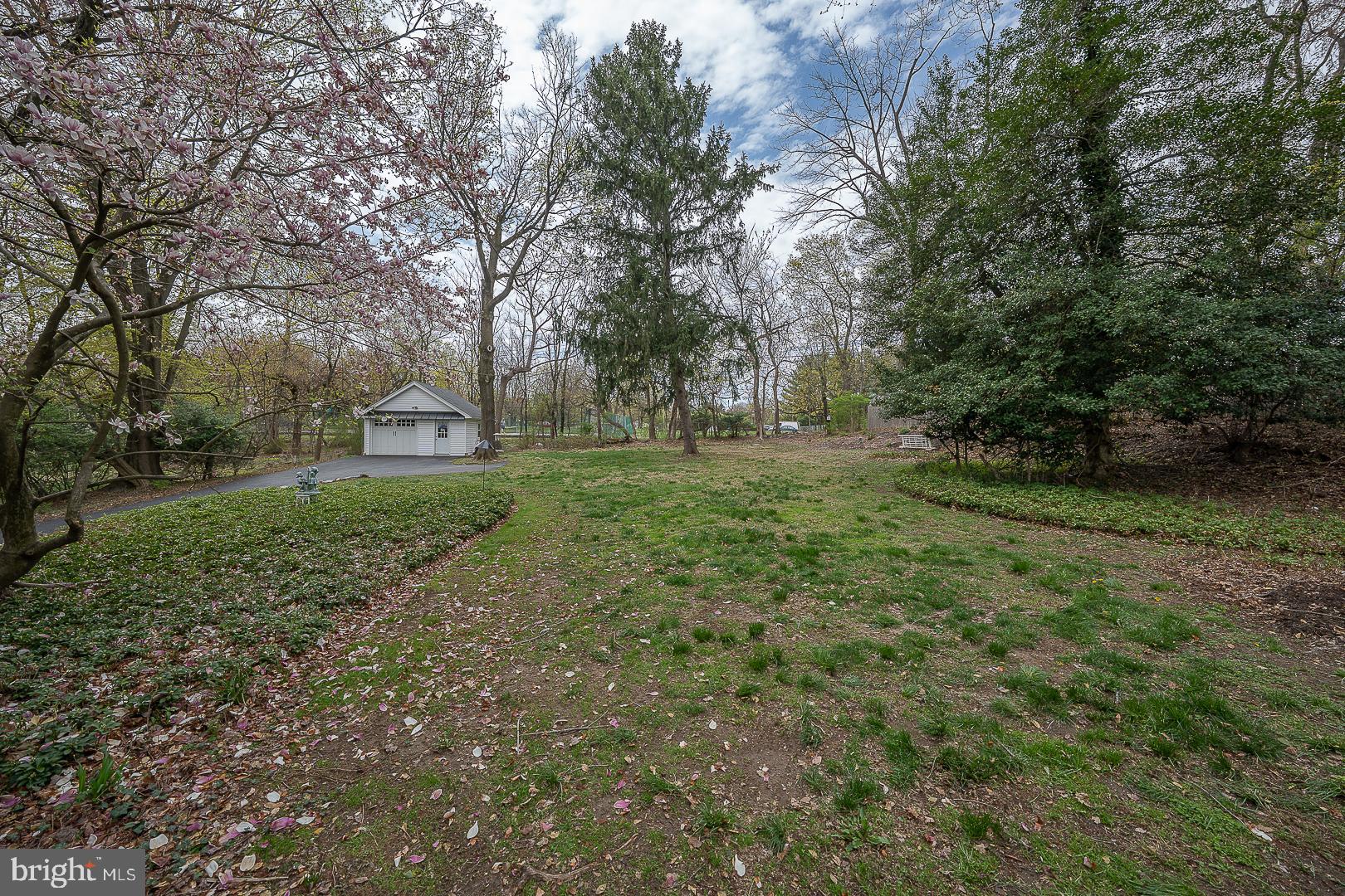 361 Summit Road Springfield, PA 19064 - Photo 22 of 42 a view of a big yard with plants and large trees
