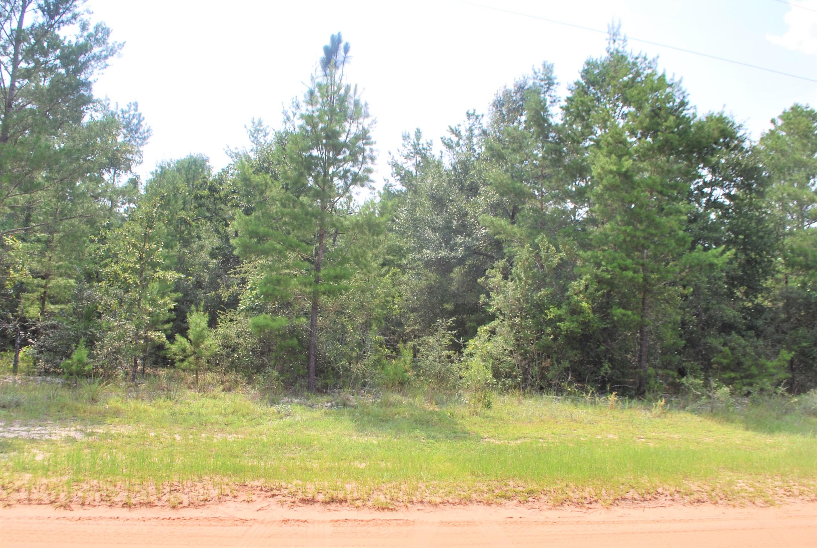 Xxx Chesterfield Road Crestview, FL 32539 - Photo 20 of 21 view from road