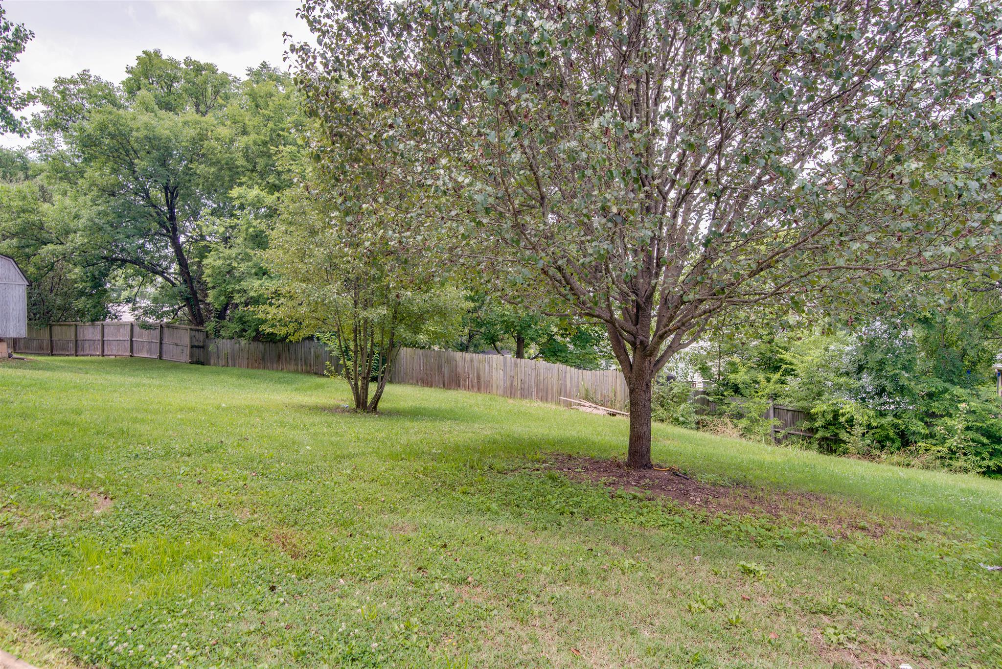 3280 Anderson Road Antioch, TN 37013 - Photo 25 of 30 a view of a tree in a yard