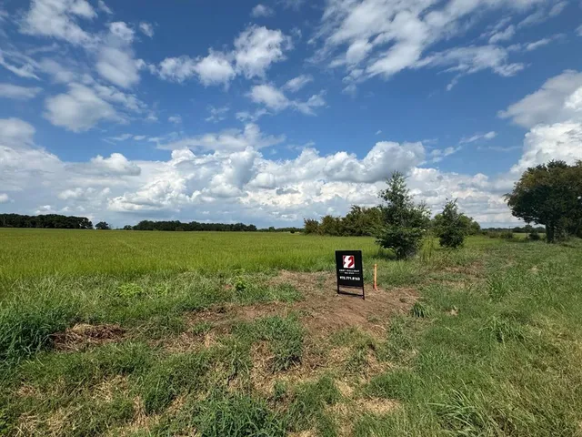 a view of a garden with lawn chairs